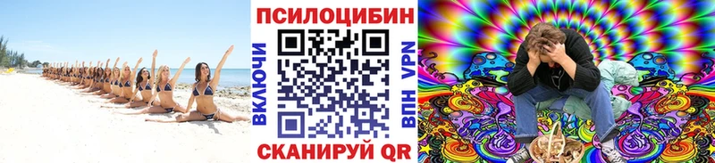 Галлюциногенные грибы Psilocybine cubensis  Андреаполь 
