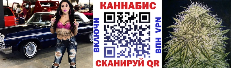 мориарти как зайти  Андреаполь  Канабис White Widow  блэк спрут ссылки 